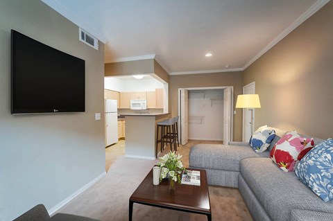 Living Room with TV at Villa Springs, Houston